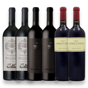 Kit 6 Vinhos Argentino El Enemigo Alma Negra Angélica Zapata